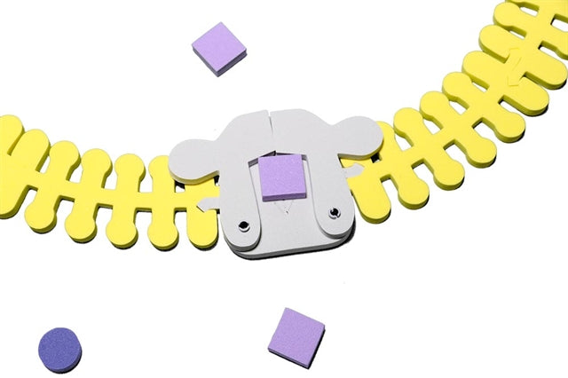 Phospholipid & Membrane Transport Kit©