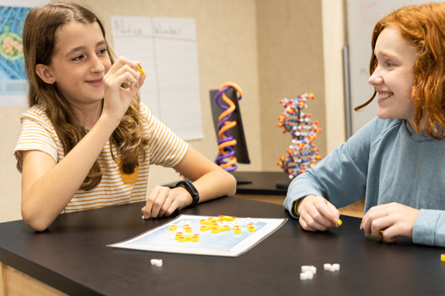 Phospholipid & Membrane Transport Kit©