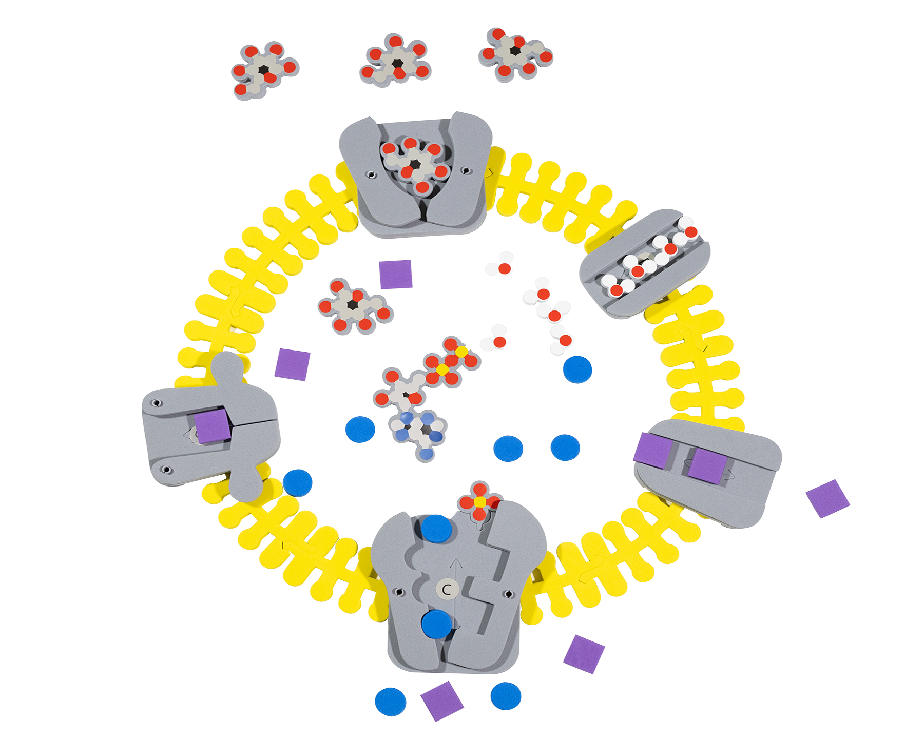 Phospholipid & Membrane Transport Kit©