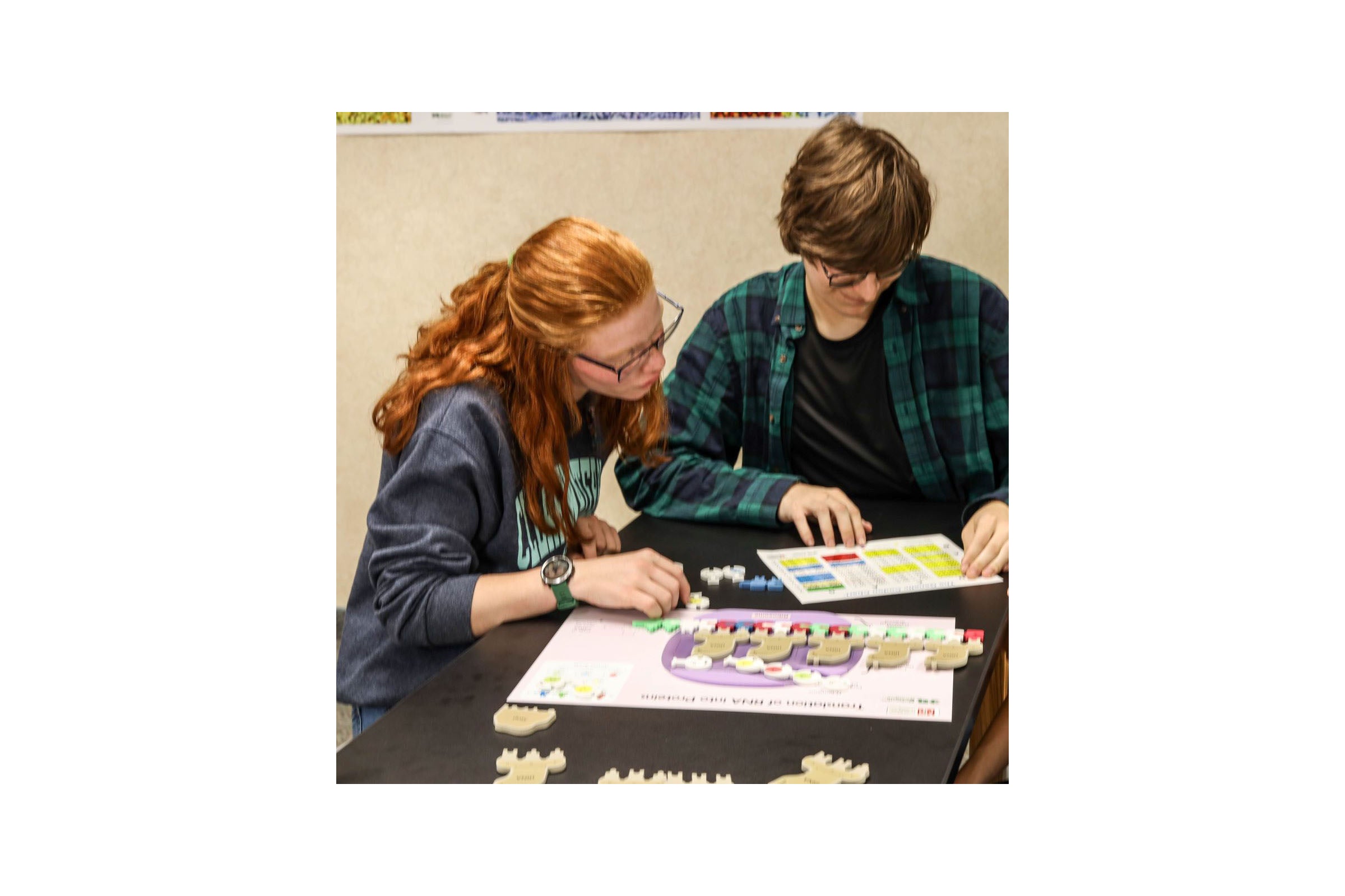 Flow of Genetic Information Kit©