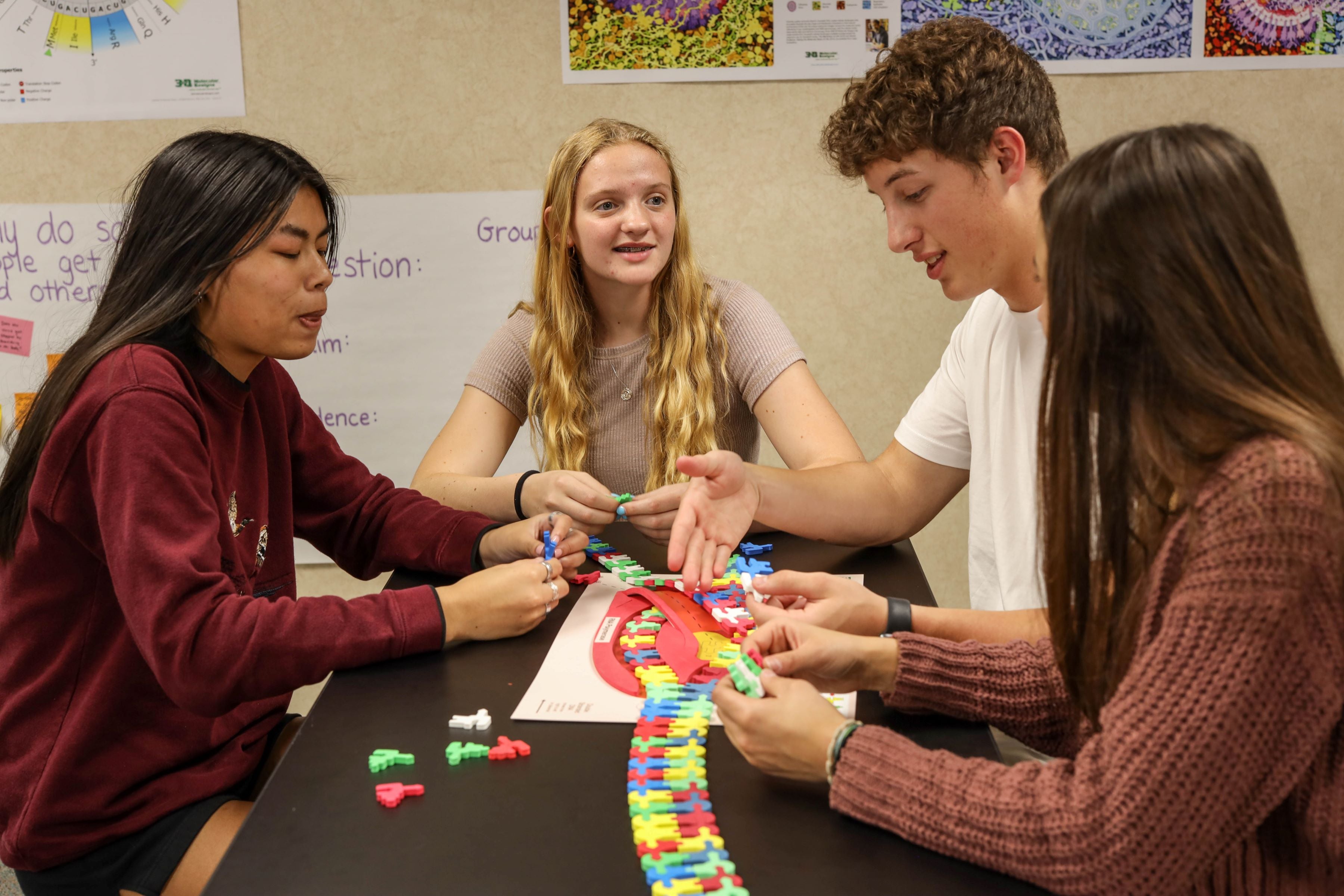 Flow of Genetic Information Kit©