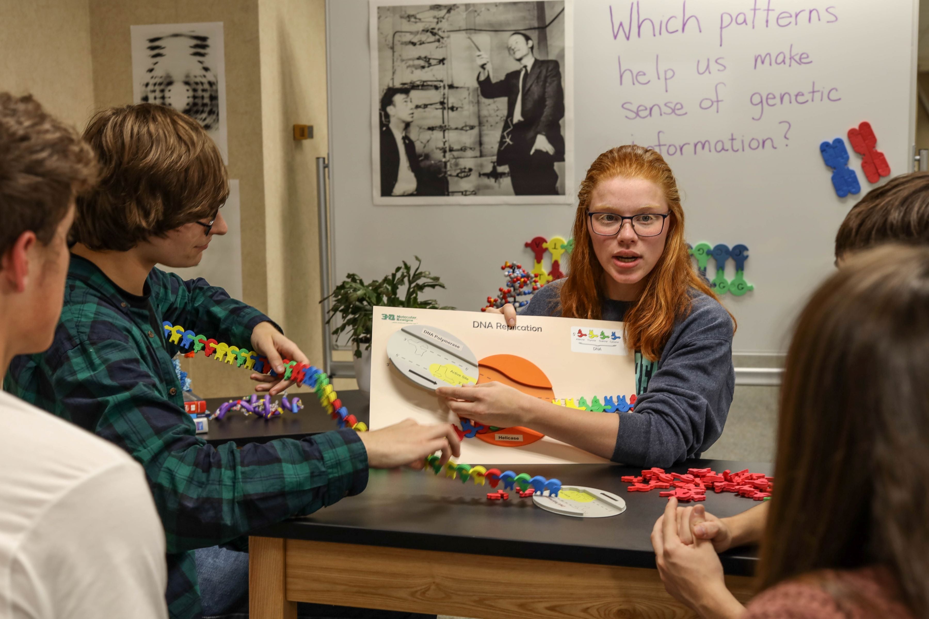 Flow of Genetic Information Kit©