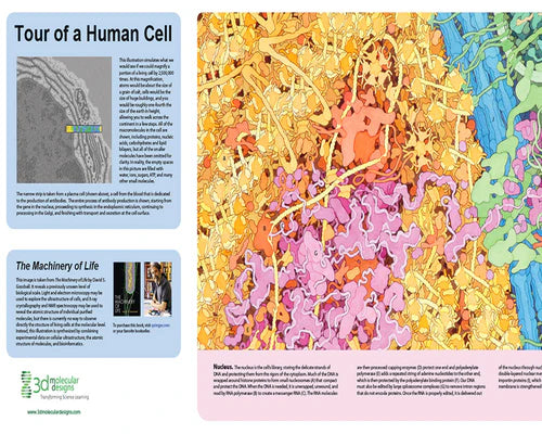 Modeling the Molecular World - Additional Items