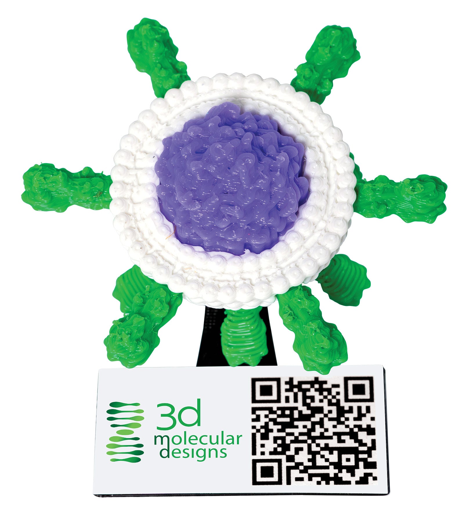 AR-Enhanced Virus Micro-Model©